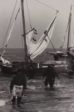 Dutch Fishing Boats