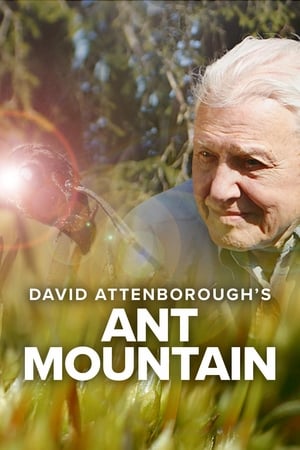 Attenborough ja muurahaispesä