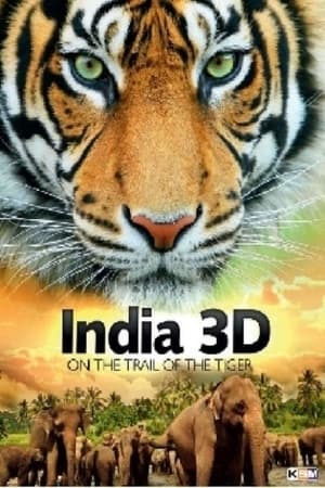 India On The Trail Of The Tiger 3D