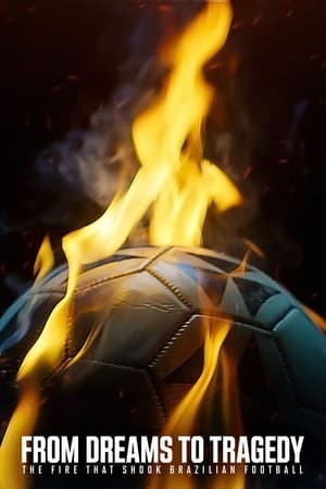 炎が奪った夢: ブラジルサッカー界の悲劇