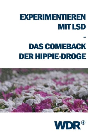 Experimentieren mit LSD - Das Comeback der Hippie-Droge
