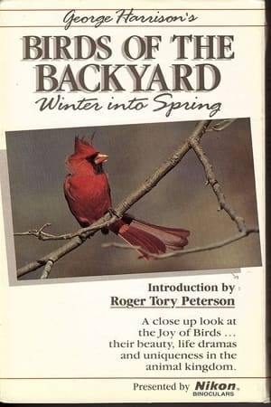 Birds of the Backyard: Winter in to Spring