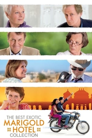 Best Exotic Marigold Hotel Collection