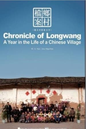 THE LONGWANG CHRONICLES: A YEAR OF LIFES IN A CHINESE VILLAGE