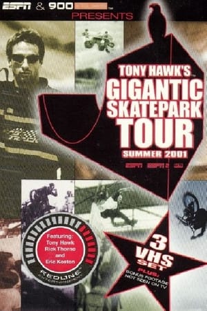 Tony Hawk's Gigantic Skatepark Tour 2001
