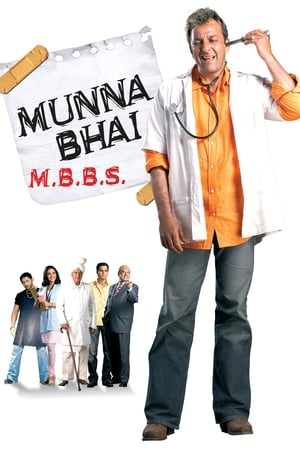 Munna Bhai Filmreihe