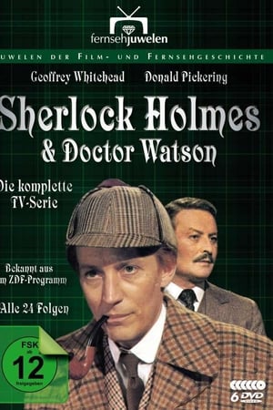 Sherlock Holmes e il Dottor Watson