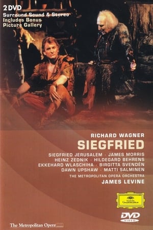 Siegfried [The Metropolitan Opera]