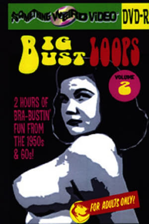 Big Bust Loops Volume 2