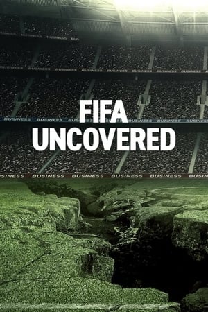 FIFA 揭秘：足球、金錢與權力