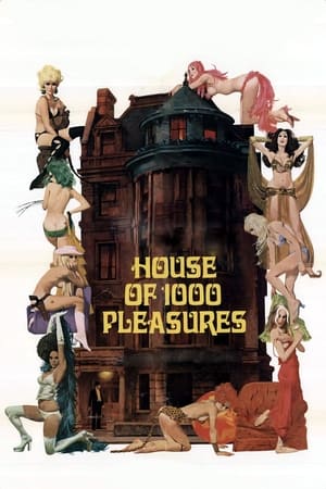 1001 Nights of Pleasure