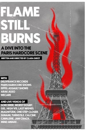 Flame Still Burns - A Dive Into the Paris Hardcore Scene