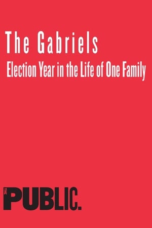 The Gabriels: Election Year in the Life of One Family