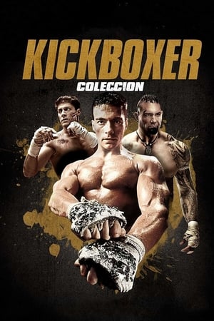 Kickboxer (Reboot) - Colección