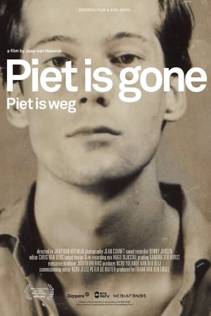 Piet is Gone