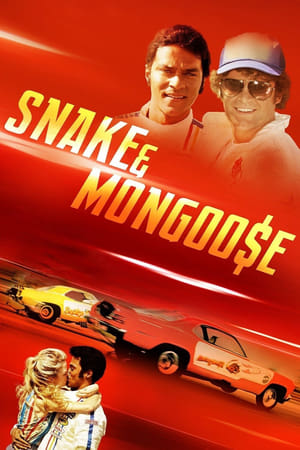 Snake in Mongoose
