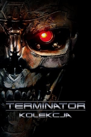 Terminator - Kolekcja