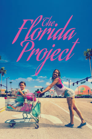 Projekt Florida