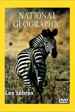 National Geographic Les Zèbres