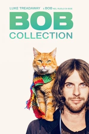 BOB - Collezione