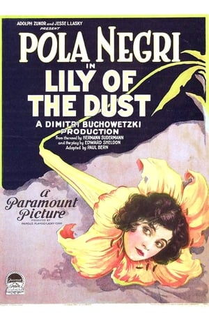 Lily of the Dust