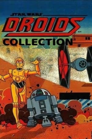 Star Wars Droids Collection