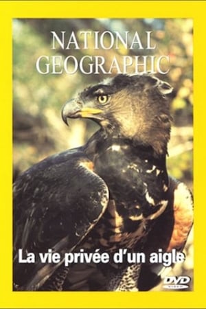 National Geographic La vie d'un aigle