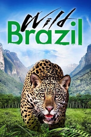 Divoká Brazílie