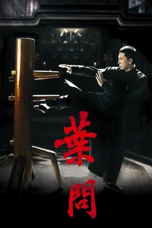 Ip Man Collection