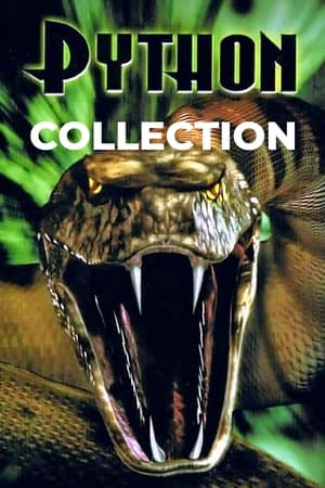 Python Collection