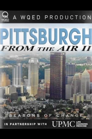 Pittsburgh From the Air II