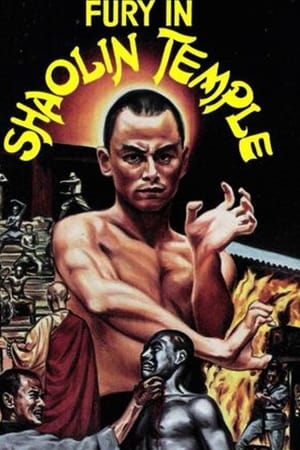 Fury in Shaolin Temple
