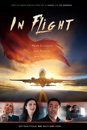 In Flight
