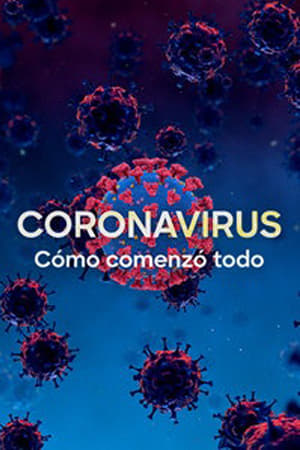 Coronavirus: Cómo comenzó todo