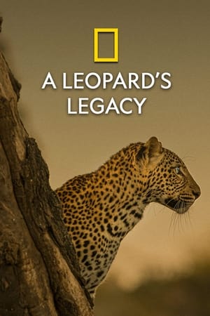 A Leopard's Legacy