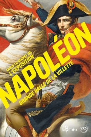 Dans les secrets de l'exposition Napoléon