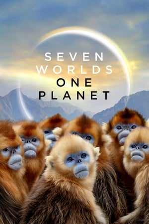 Sedm světů, jedna planeta
