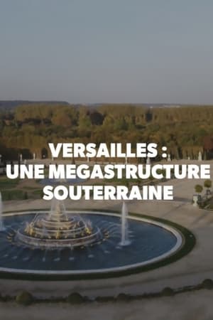 Versailles: Une Megastructure Souterraine