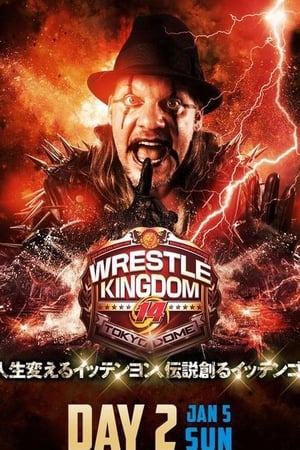 NJPW Wrestle Kingdom 14: Night 2