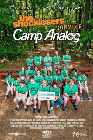 The Shocklosers Survive Camp Analog