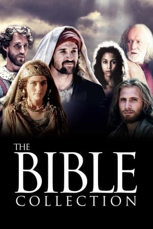 The Bible Collection