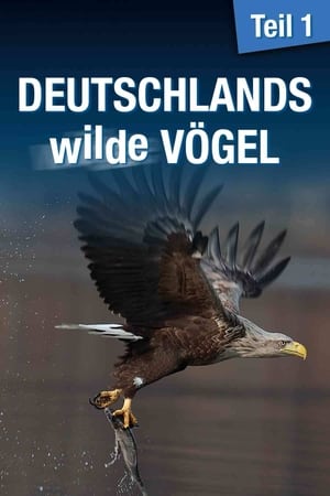 Deutschlands wilde Vögel - Teil 1