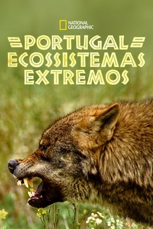 Destination Wild: Portugal