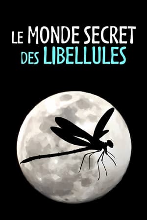 Le Monde secret des libellules
