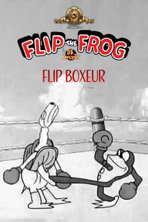 Flip Boxeur