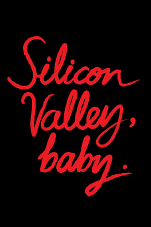Silicon Valley, Baby.