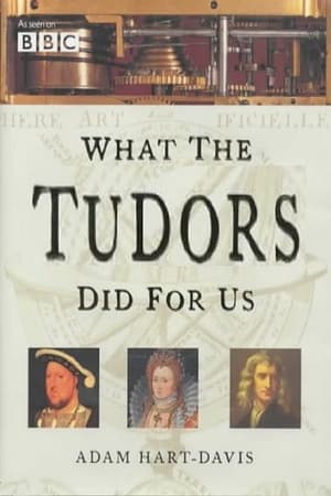 What the Tudors Did for Us