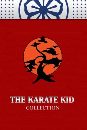 The Karate Kid Collectie