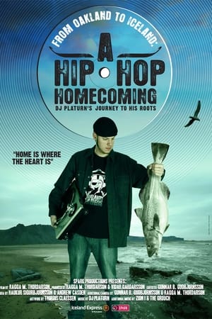 From Oakland to Iceland: A Hip-Hop Homecoming