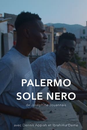 Palermo Sole Nero